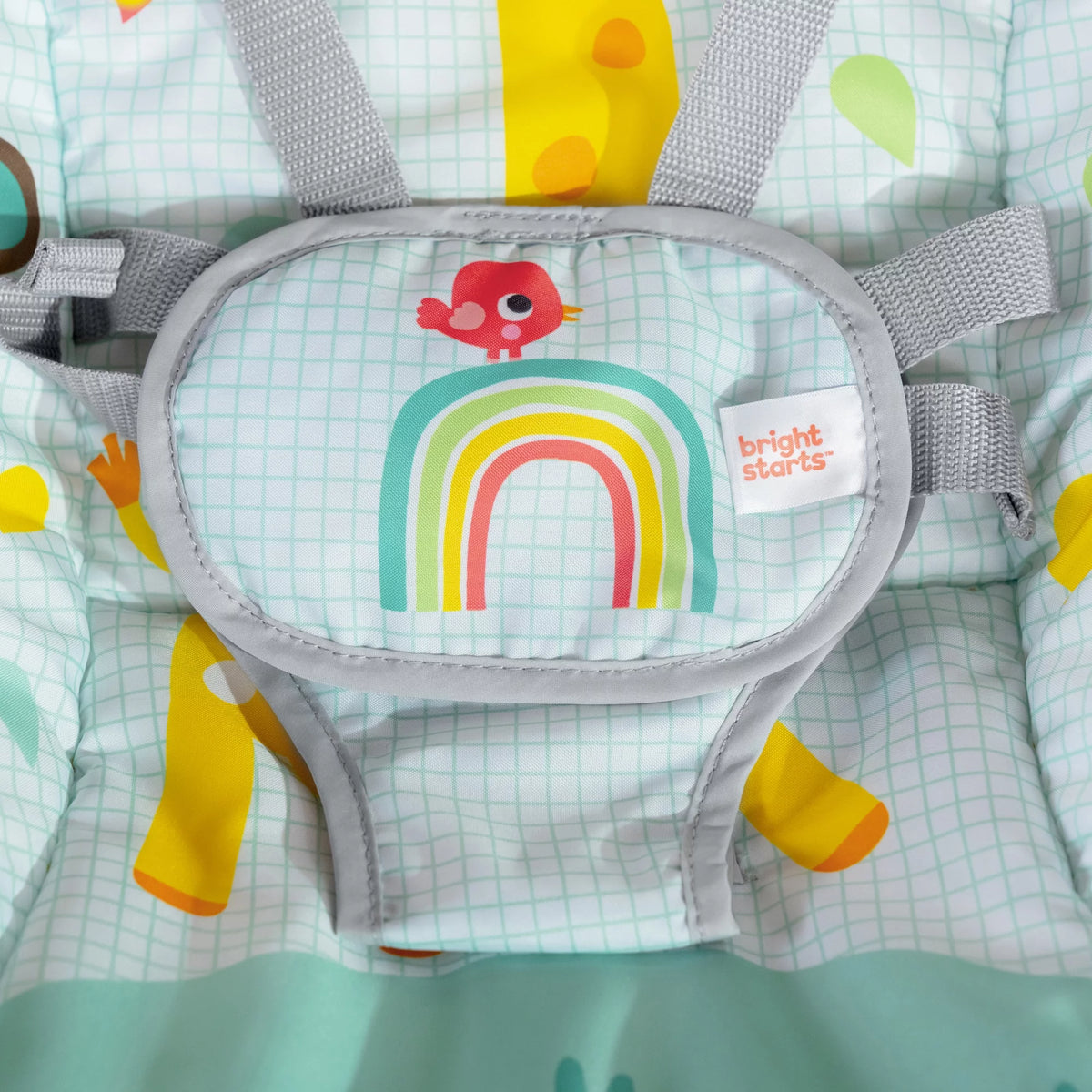 Infant to Toddler Rocker with Vibrations B56610
