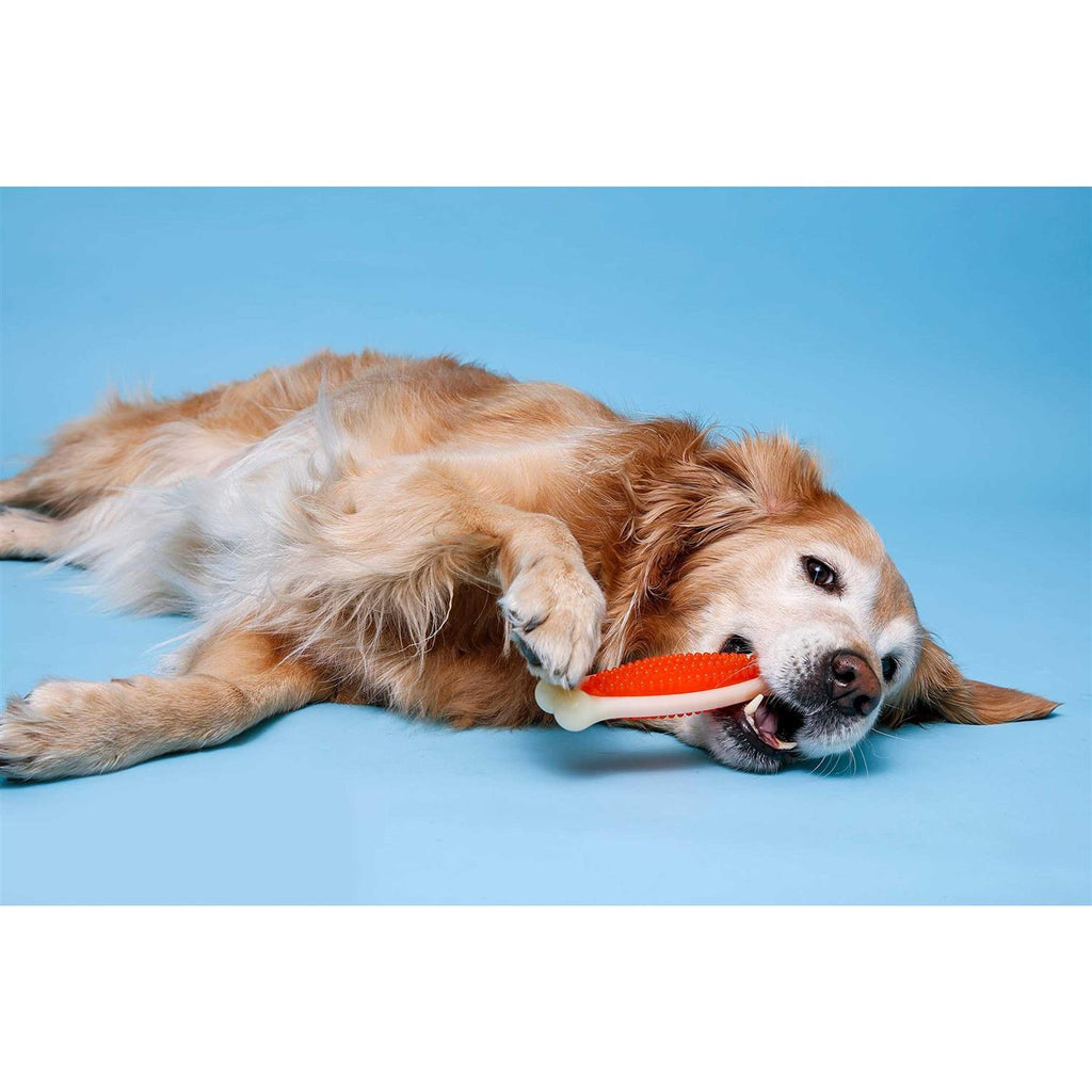 Tough Dog Chew Toy T180