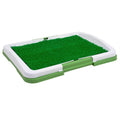 Potty Trainer R14819