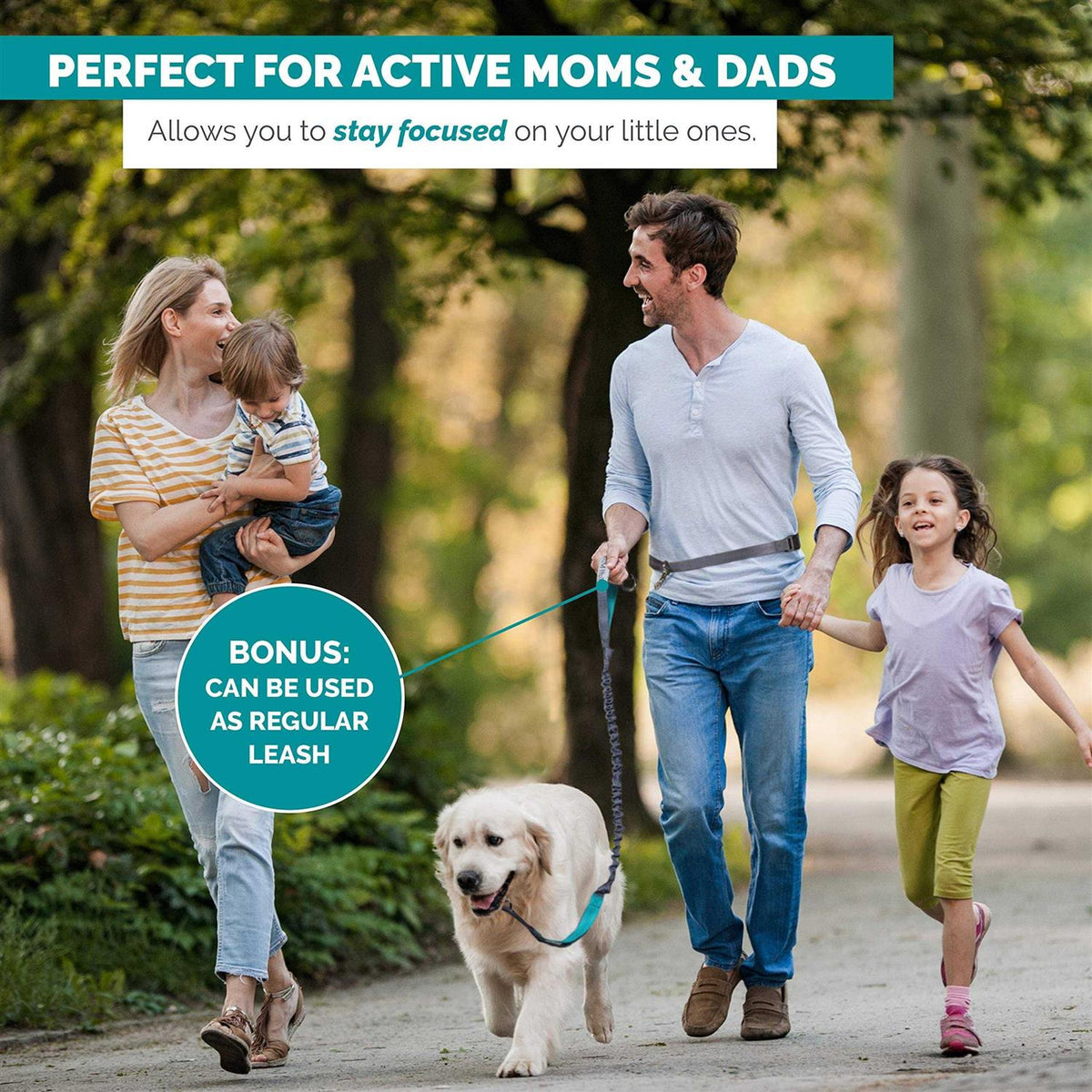 Hands Free Dog Leash C4308