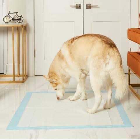 36 x Odor Eliminating Pee Pads T78262