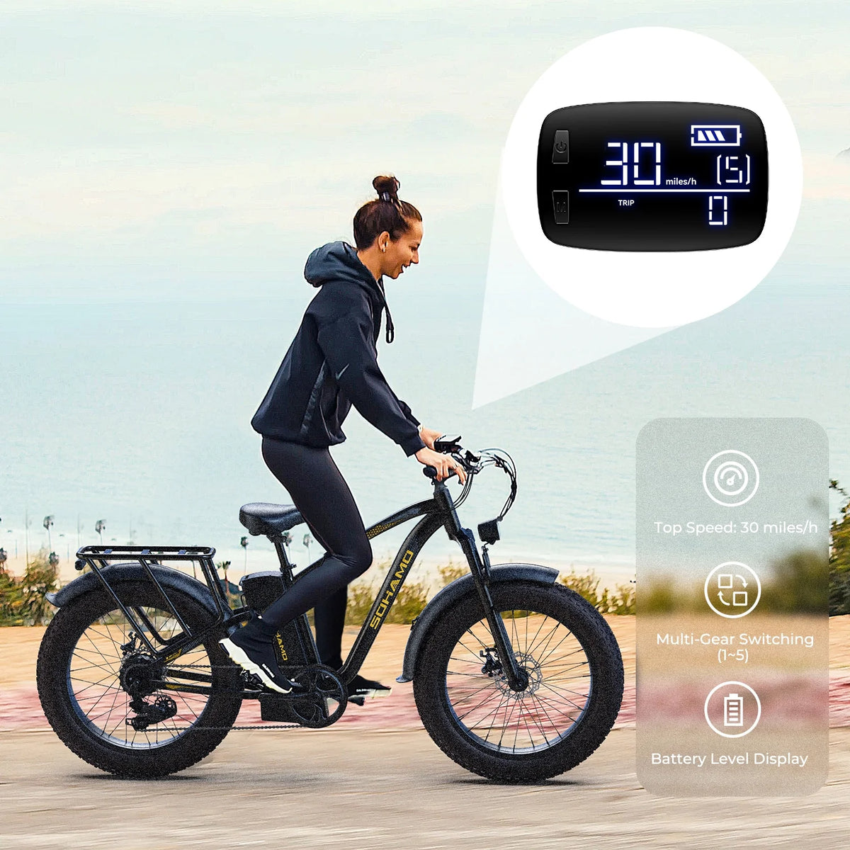 750W 48V 15Ah Fat Tire Electric Mountain Bike A31393