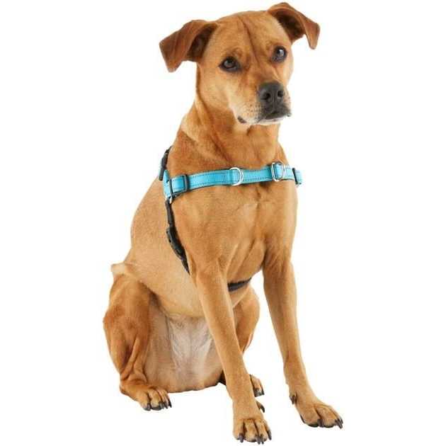 Padded Reflective No Pull Harness U1435