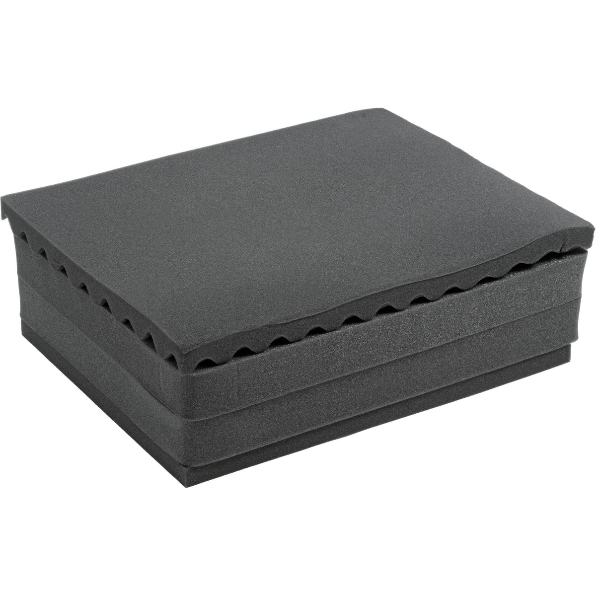 Replacement Foam Set T12231
