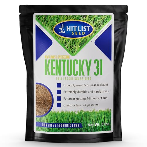 Tall Fescue Grass Seed, 5 lbs Y451029