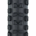 29 x 2.35 Black Tubeless Tire I620