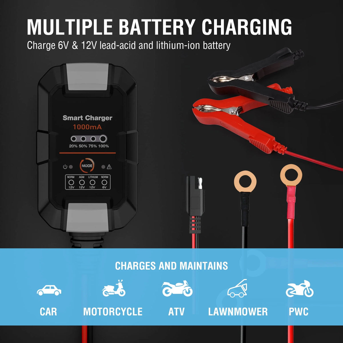 6V/12V 1A Trickle Charger Battery Maintainer D530771