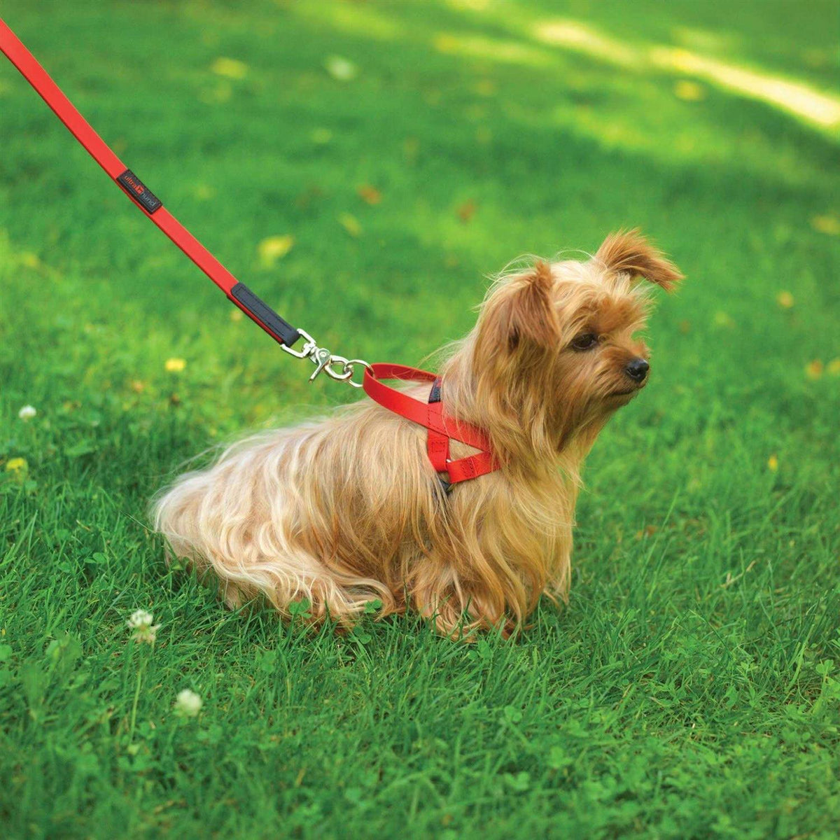 Harness R910163