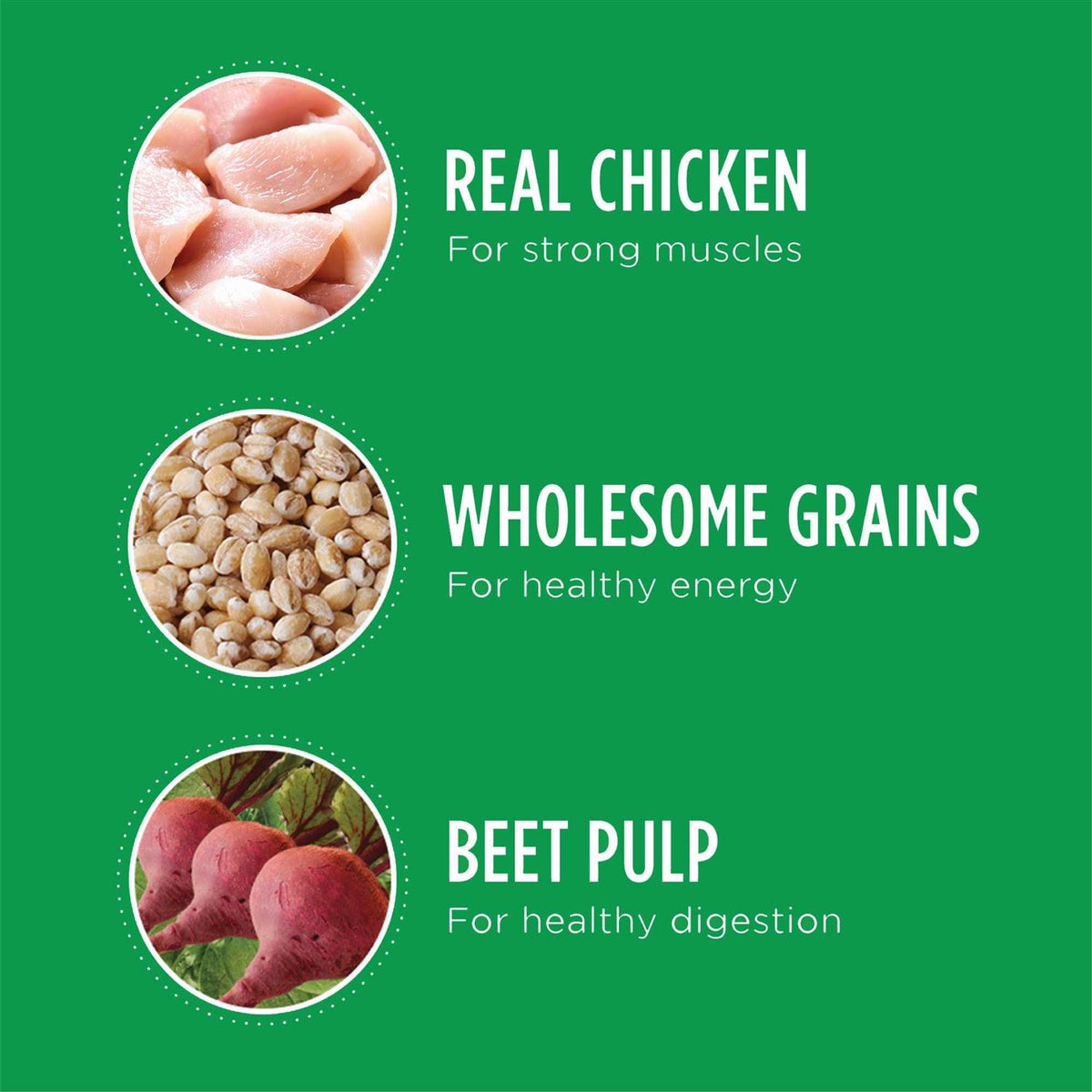 Chicken Dry Dog Food Z881395
