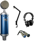 Large-Diaphragm Condenser Studio Microphone with Boom Arm and Headphone Y902