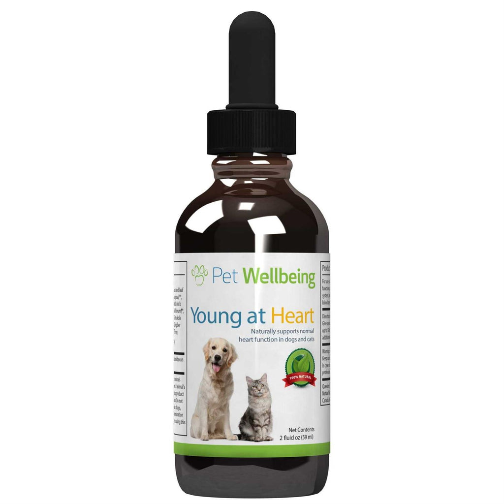 Young at Heart for Cats H2468