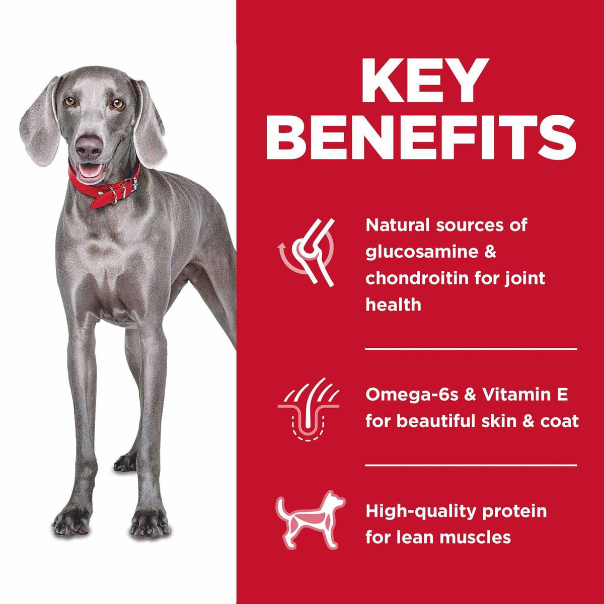 Adult Large Breed No Grain Chicken Dog Food 14 kg U693