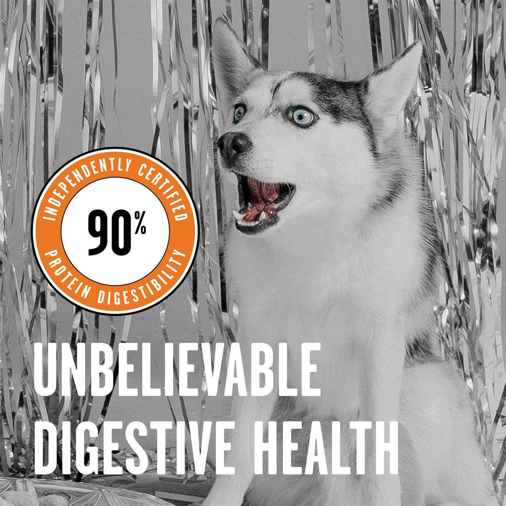 Chicken Recipe Dry Dog Food M300