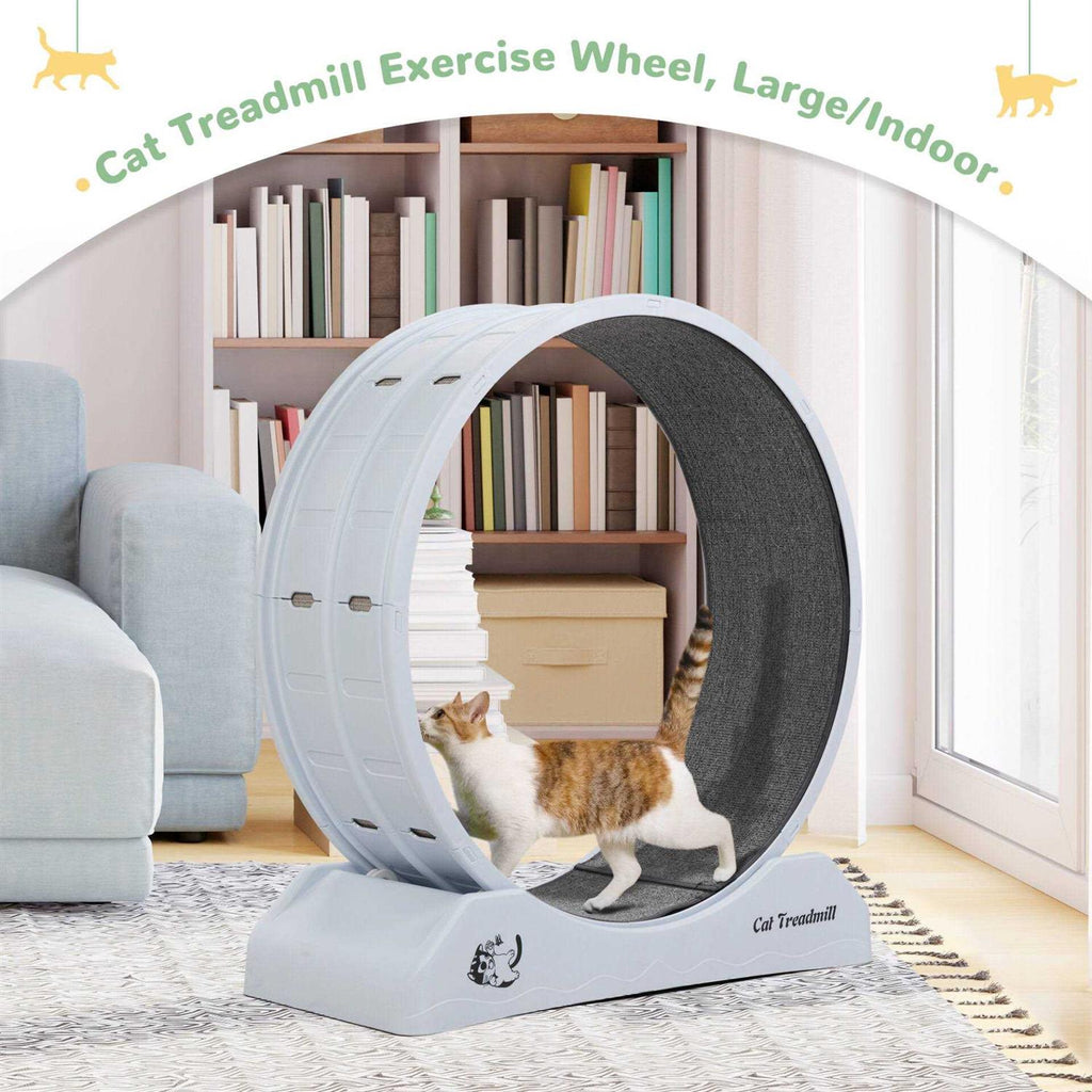 Cat Exercise Wheel with Locking Mechanism R8938