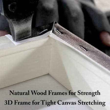 Canvas Art Z370
