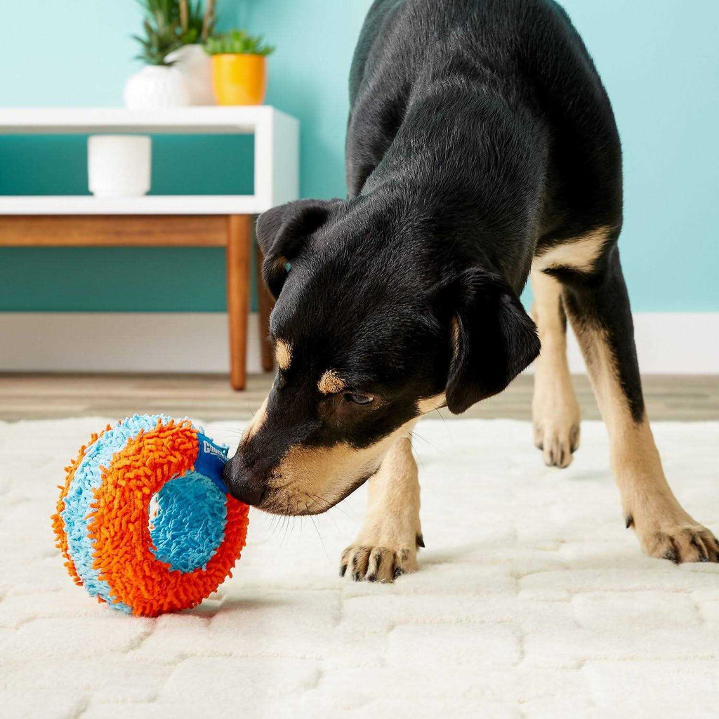 Indoor Roller Dog Toy F96808