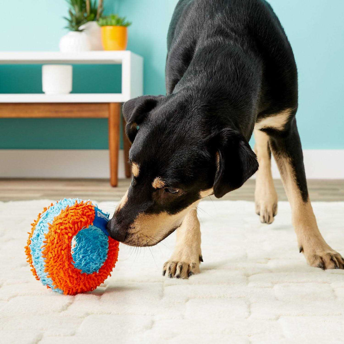 Indoor Roller Dog Toy F96808