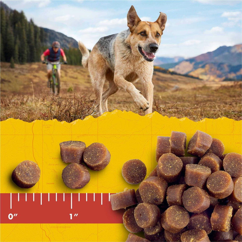 Dog Treats X566053