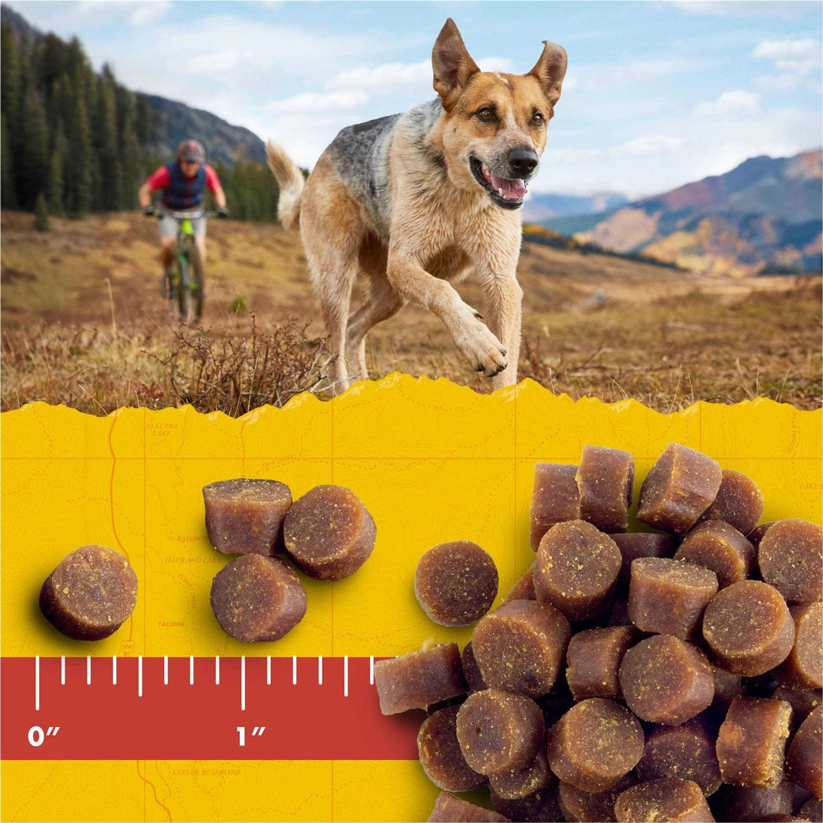 Dog Treats X566053