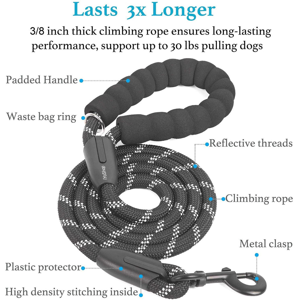 Double Dog Leash 360 Swivel No Tangle L710