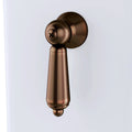 Trip Lever, Oil Rubbed Bronze Y742494