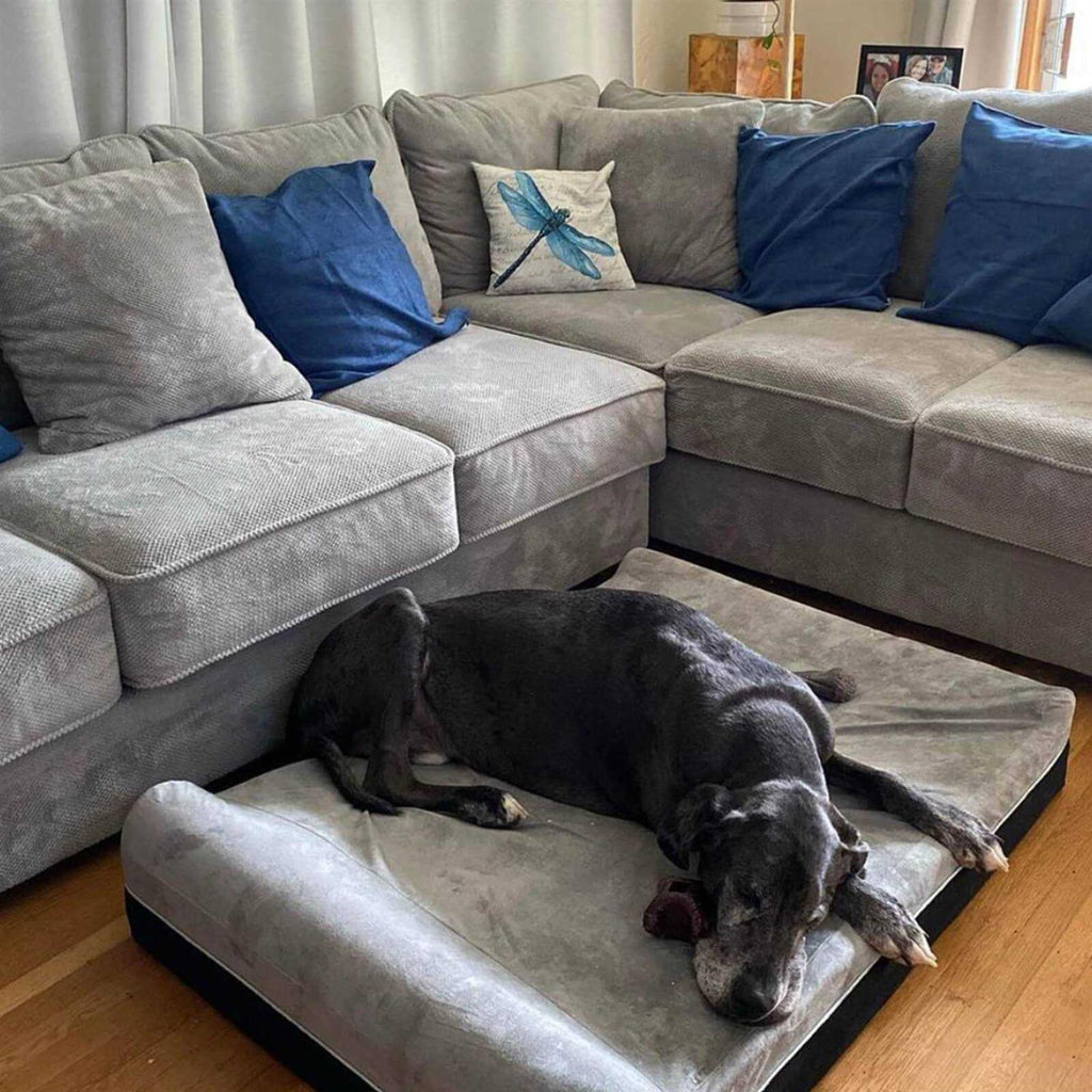 Large Orthopedic Memory Foam Dog Bed K947501