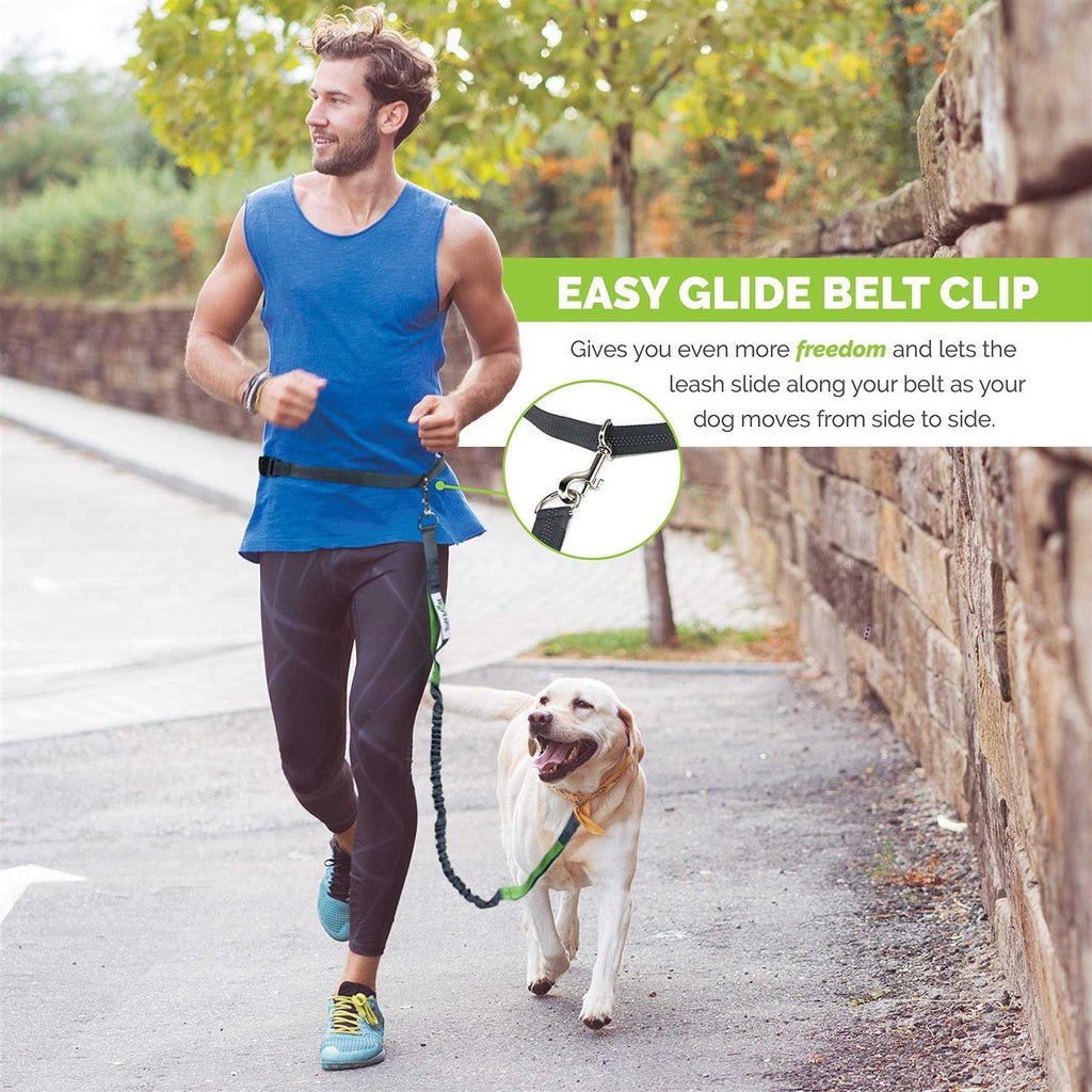 Hands Free Dog Leash C4308