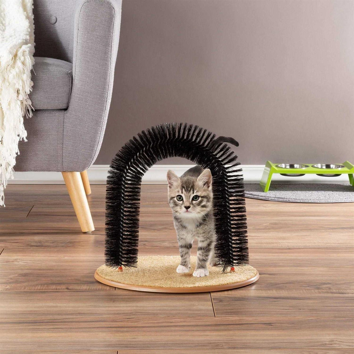 Self-Grooming Cat Arch with Bristle Ring O5327