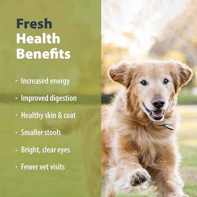 Frozen Fresh Dog Food J697364