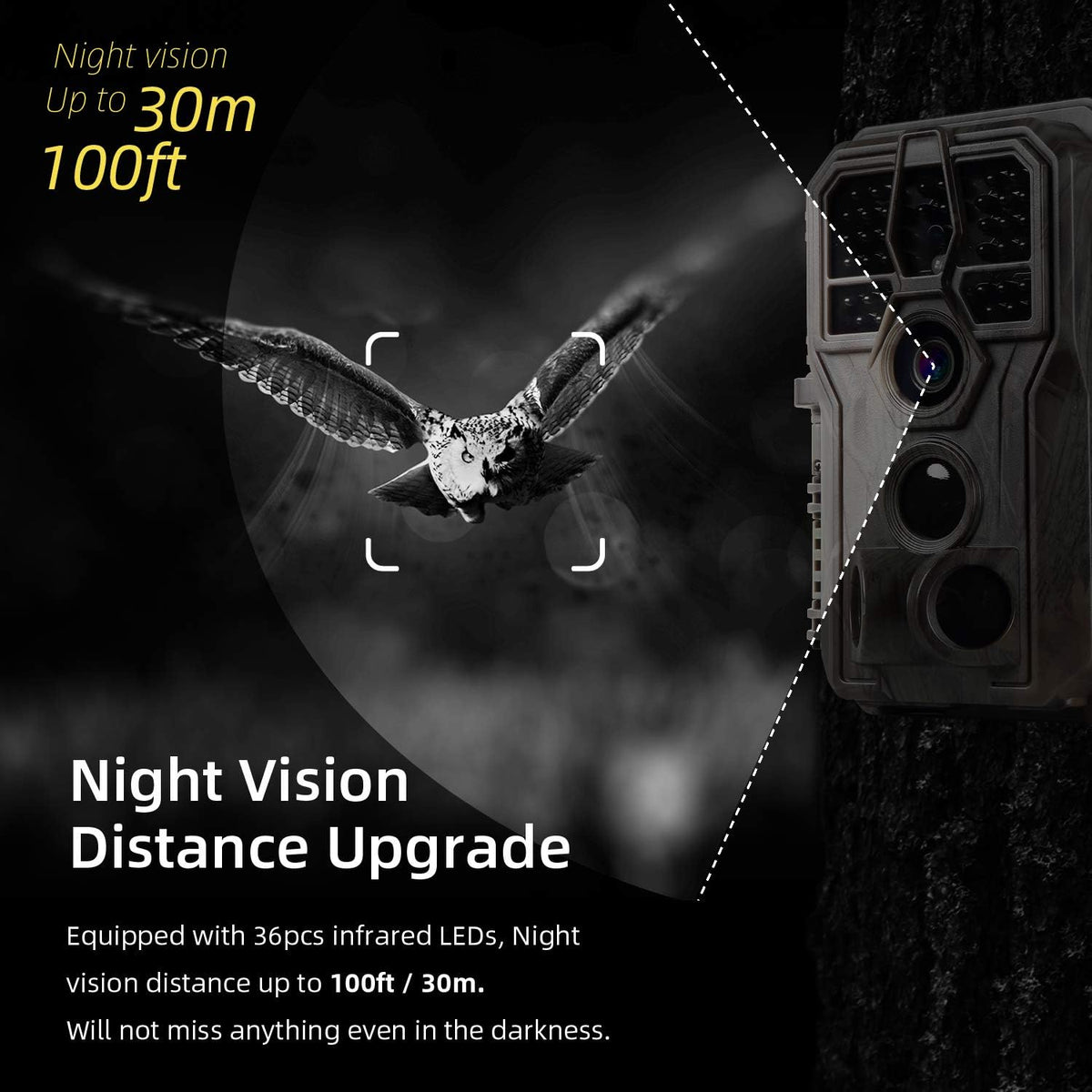 2-Pack 24MP 1296P Trail Game Cameras I30020