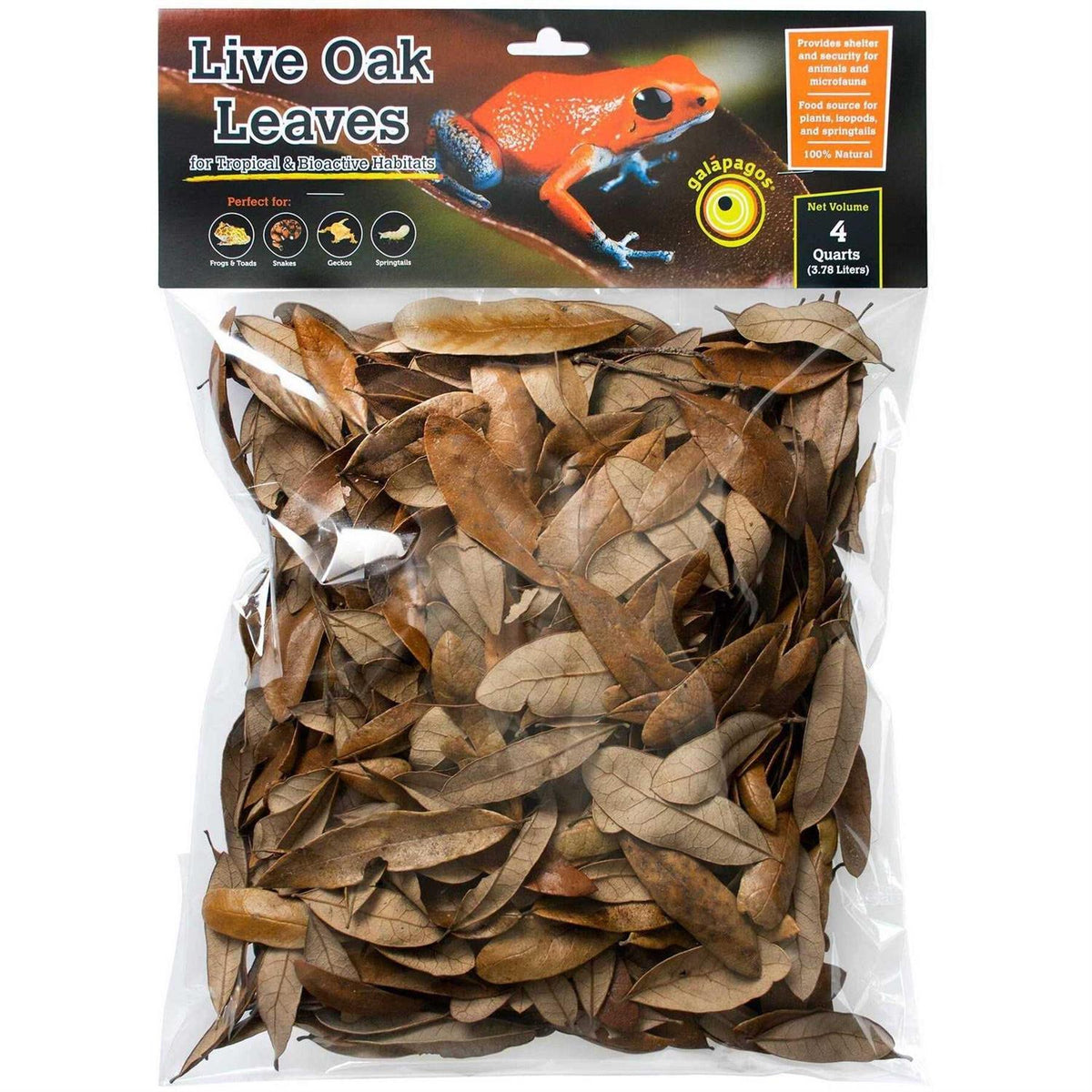 4 qt. Live Oak Leaf Litter R5258