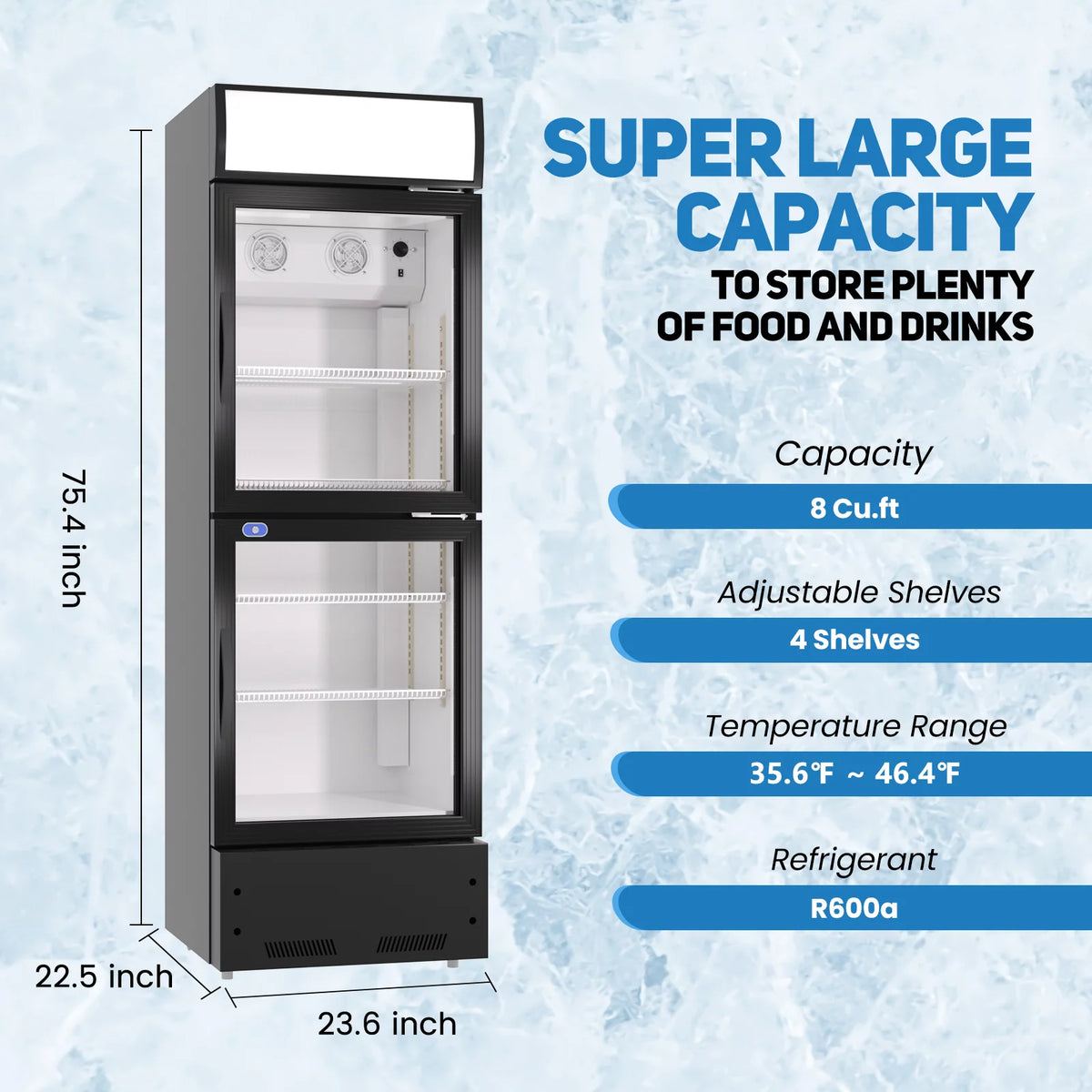 24'' Double Glass Door Merchandiser Refrigerator R631153