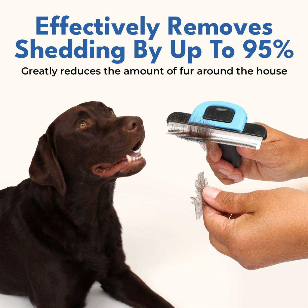 Deshedding Brush for Short Haired Dogs & Cats Y373