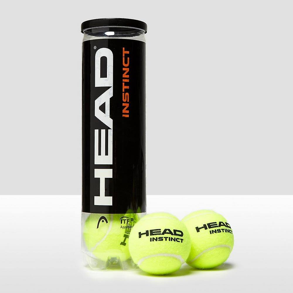 Yellow Tennis Balls 4 Ball Can E669139