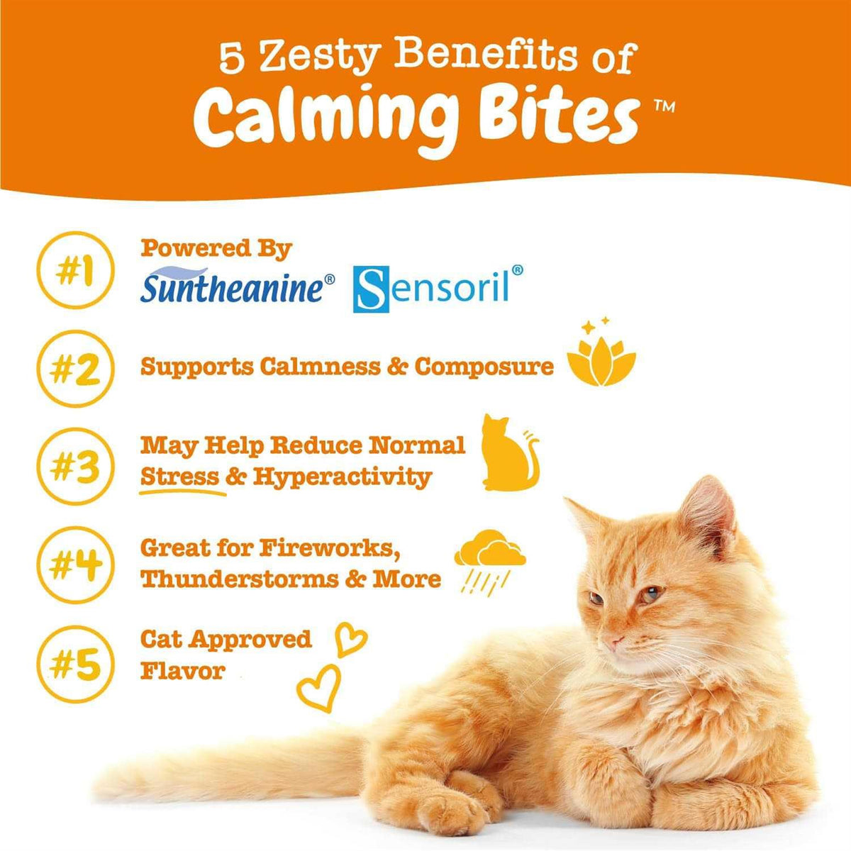 Calming Bites for Cats K202254