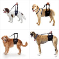 Dog Support Rehabilitation Harness V701267
