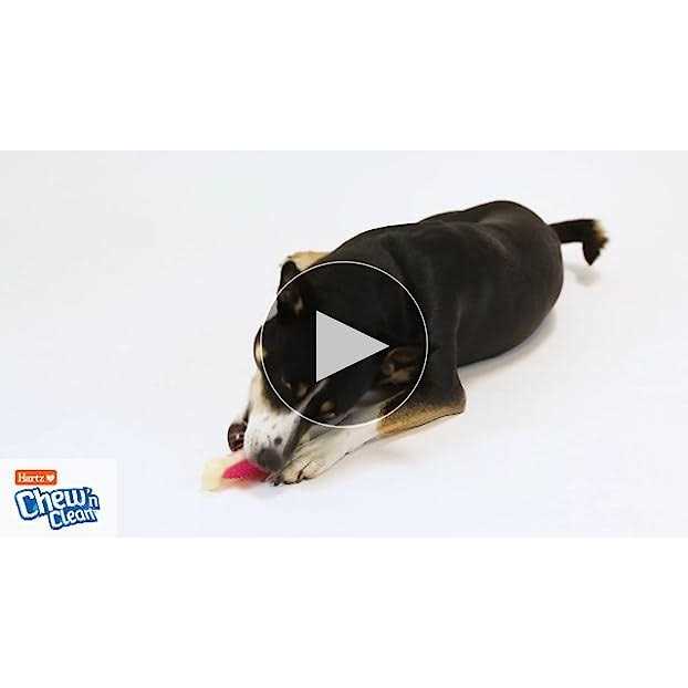 Tough Dog Chew Toy T180