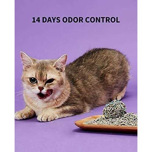 5 in 1 Mixed Cat Litter, Strong Clumping, Unscented Ultra Absorbent I92744
