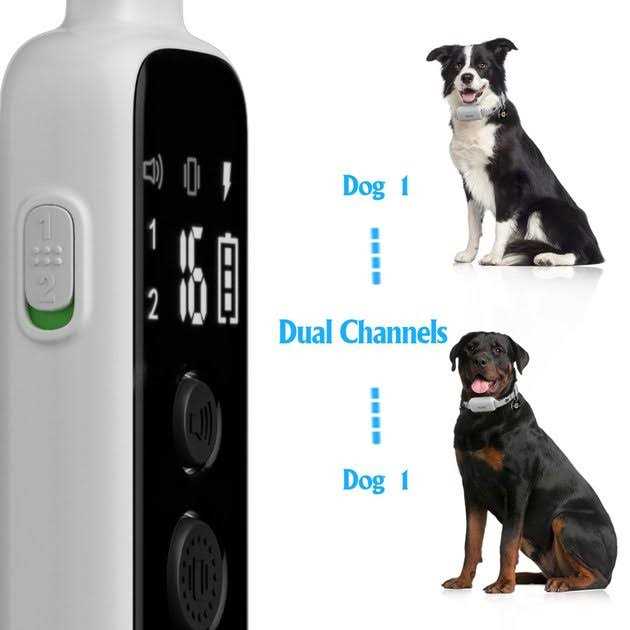 Remote Training Collar for Dogs X1955
