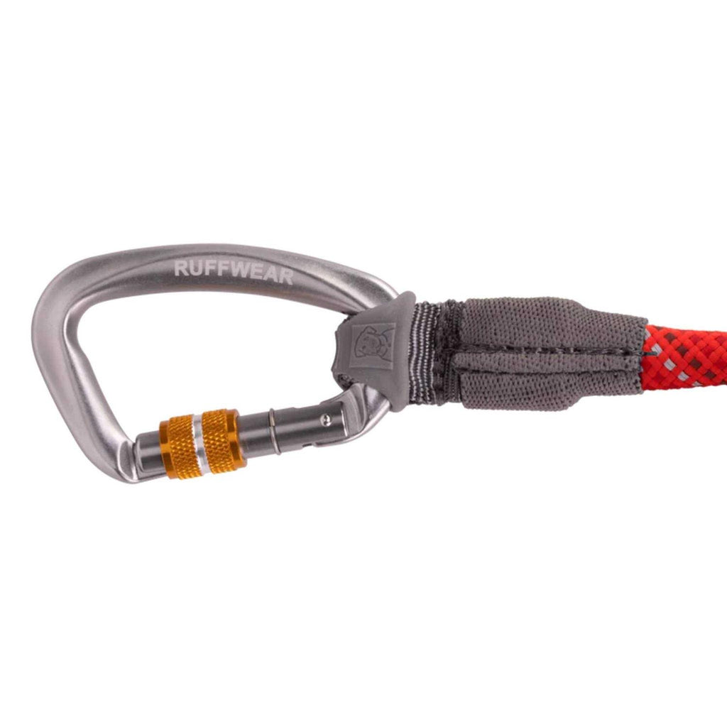 Leash Y21421