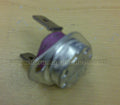 Thermostat A46431