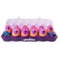 Purple Mystery Egg Carton 12 Pack R65922