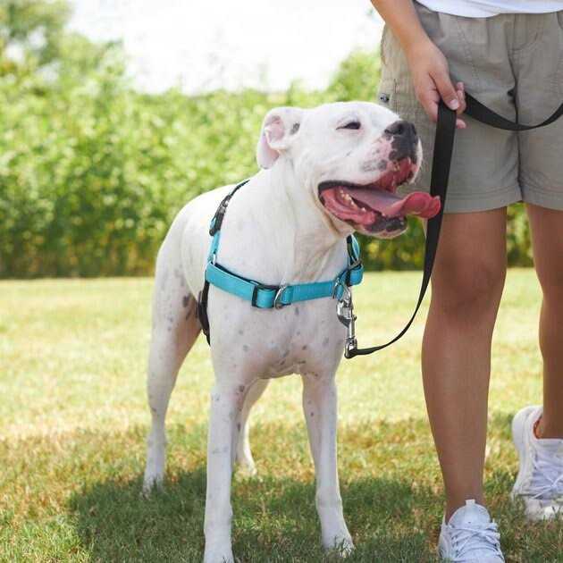 Padded Reflective No Pull Harness U1435
