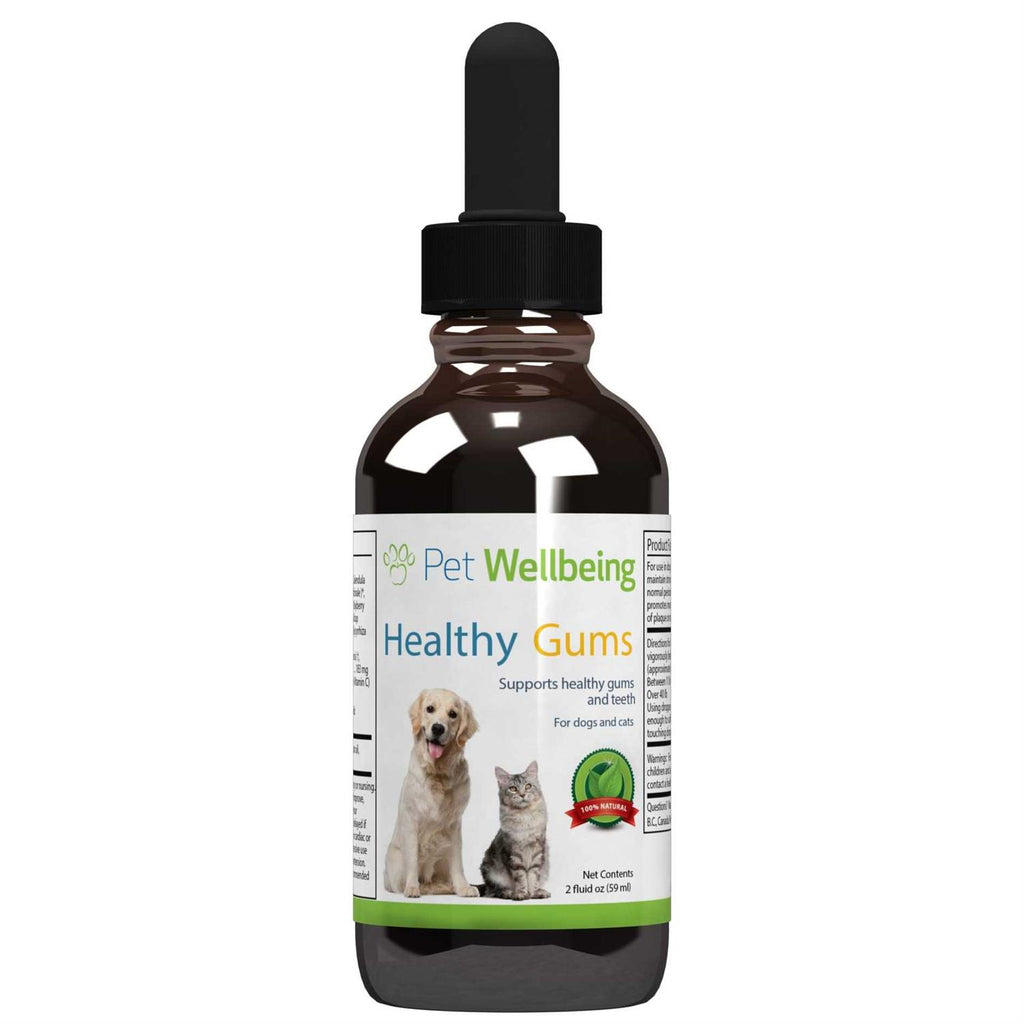 Healthy Gums for Feline Periodontal Health V24645