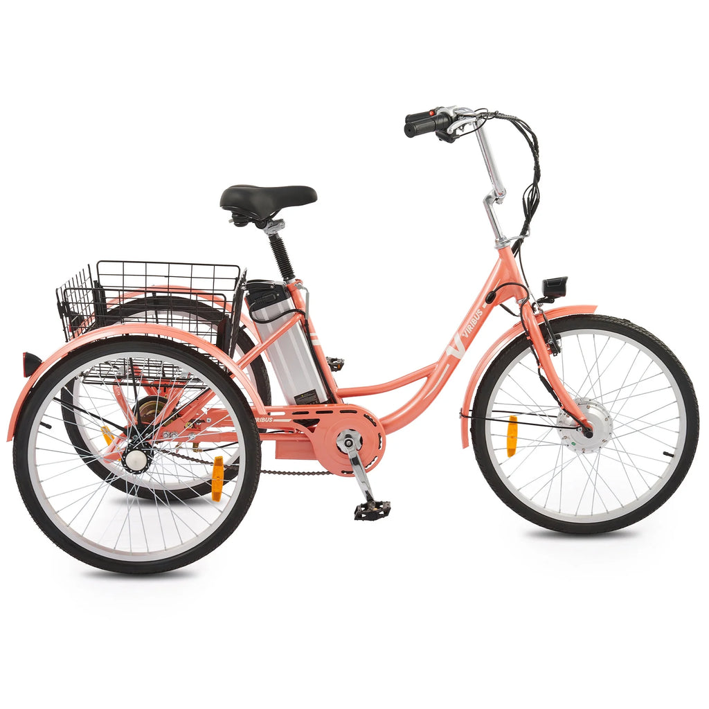 Electric Tricycle 3 Wheel 250W Black G1243