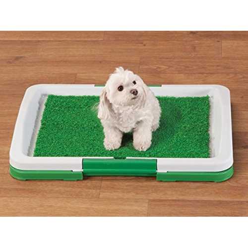Potty Trainer R14819