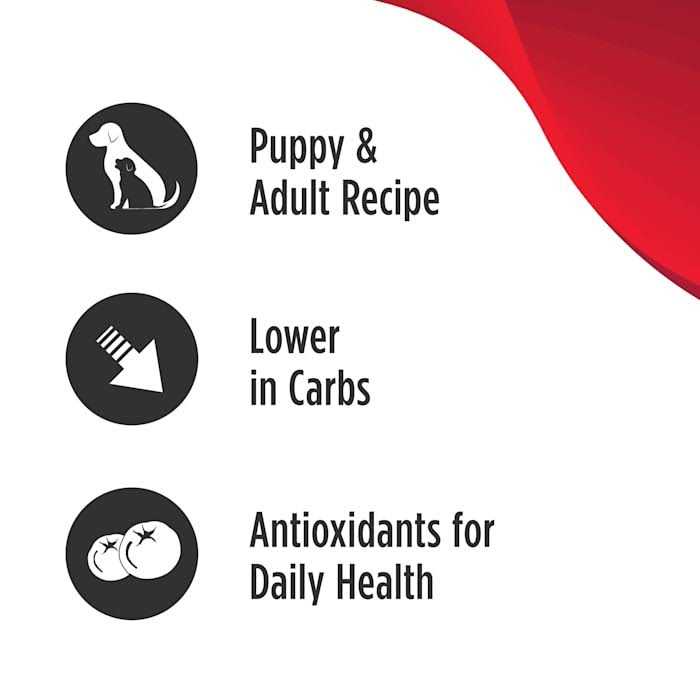 Grain Free Salmon Dog Food U356725