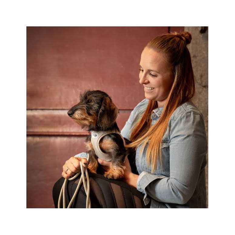Air-Mesh Dog Harness P180