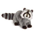 Raccoon W526176