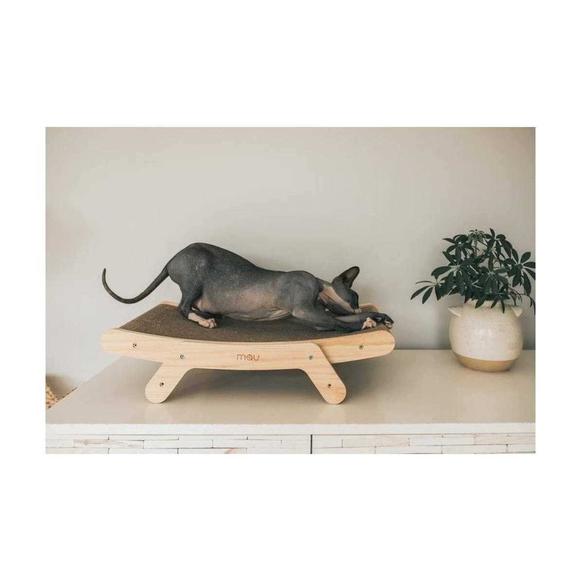 Cat Scratcher G298
